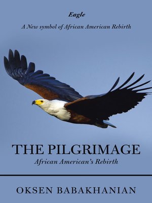 cover image of The Pilgrimage